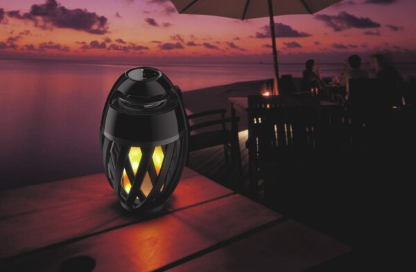 Bluetooth Flame Speaker with 5 ft Pole